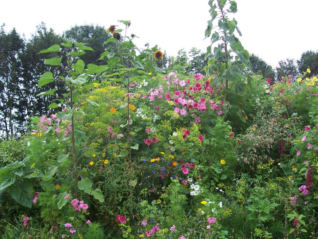 Bed & Breakfast De Betovering